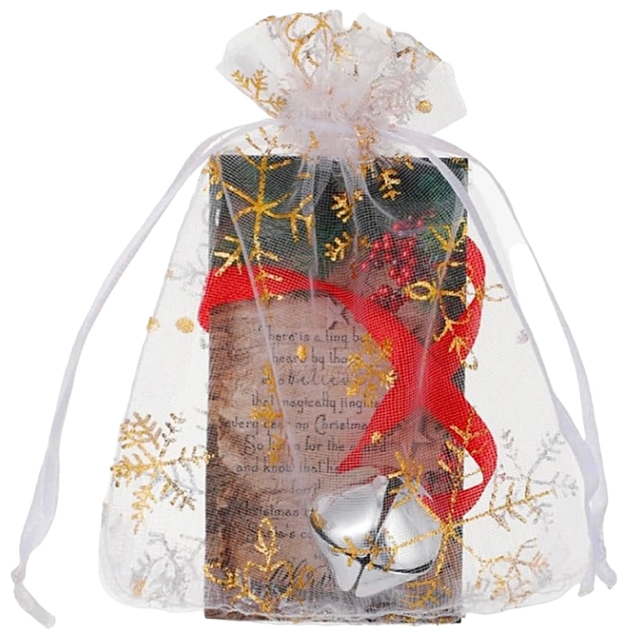 SILVER "BELIEVE" BELL FROM SANTA'S SLEIGH WITH POEM CARD IN ORGANZA BAG