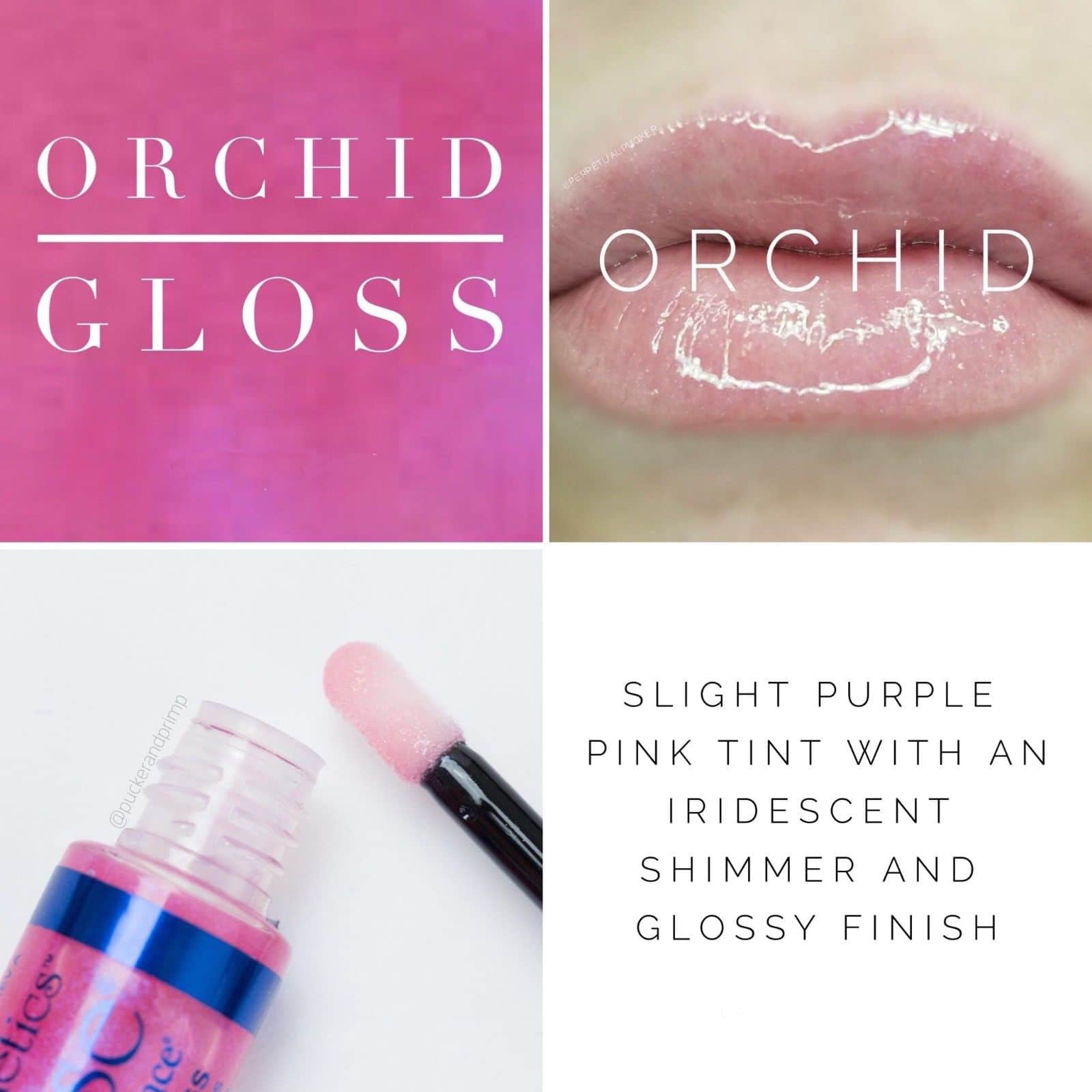 ORCHID LIPSENSE GLOSS