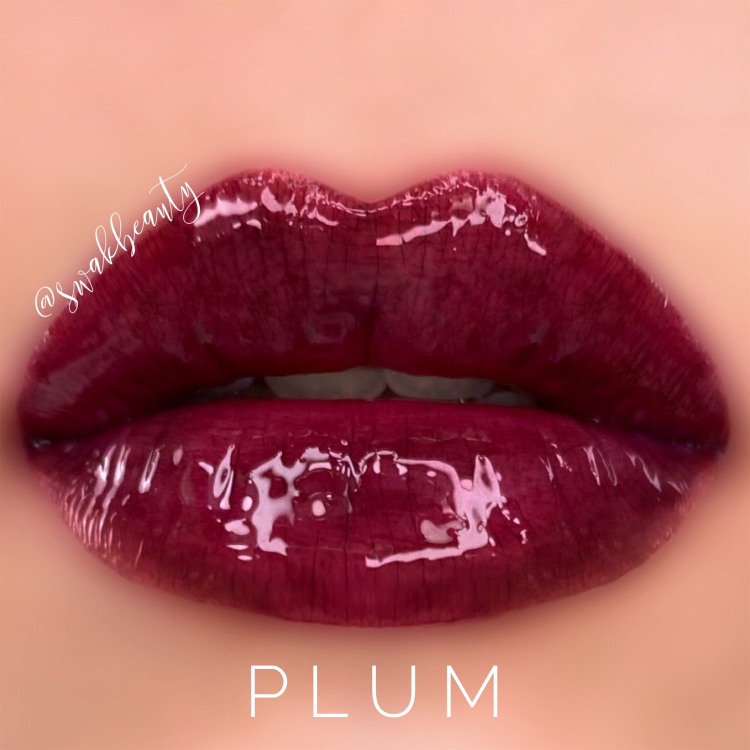 PLUM LONG LASTING LIPSENSE LIPSTICK