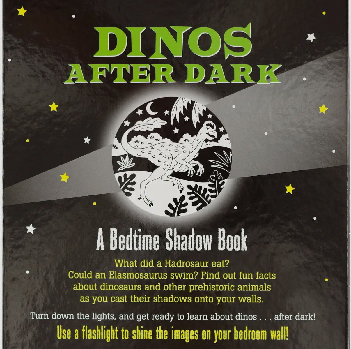 Dinos After Dark Bedtime Shadow Book PPP