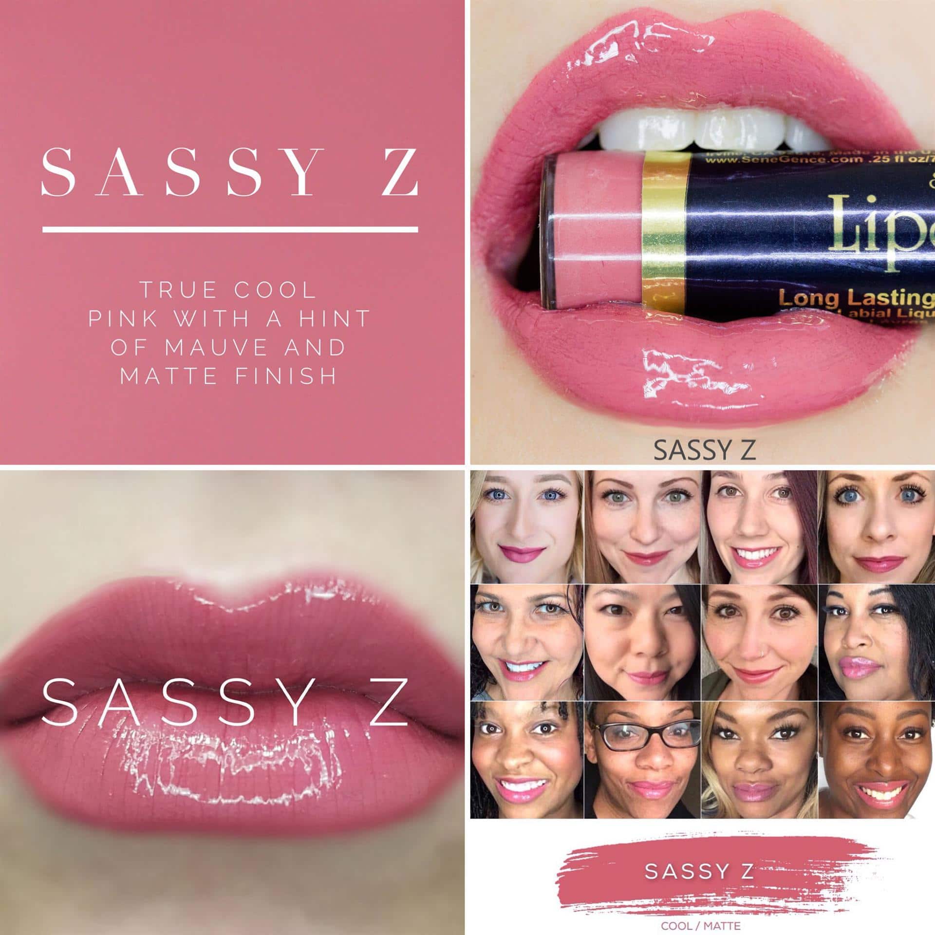 SASSY Z LONG LASTING LIPSENSE LIPSTICK