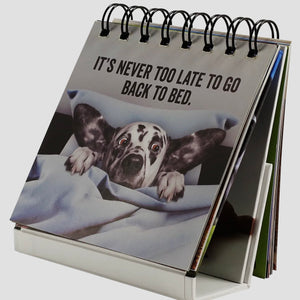 Every Flipping Day Desktop Flipbook PPP