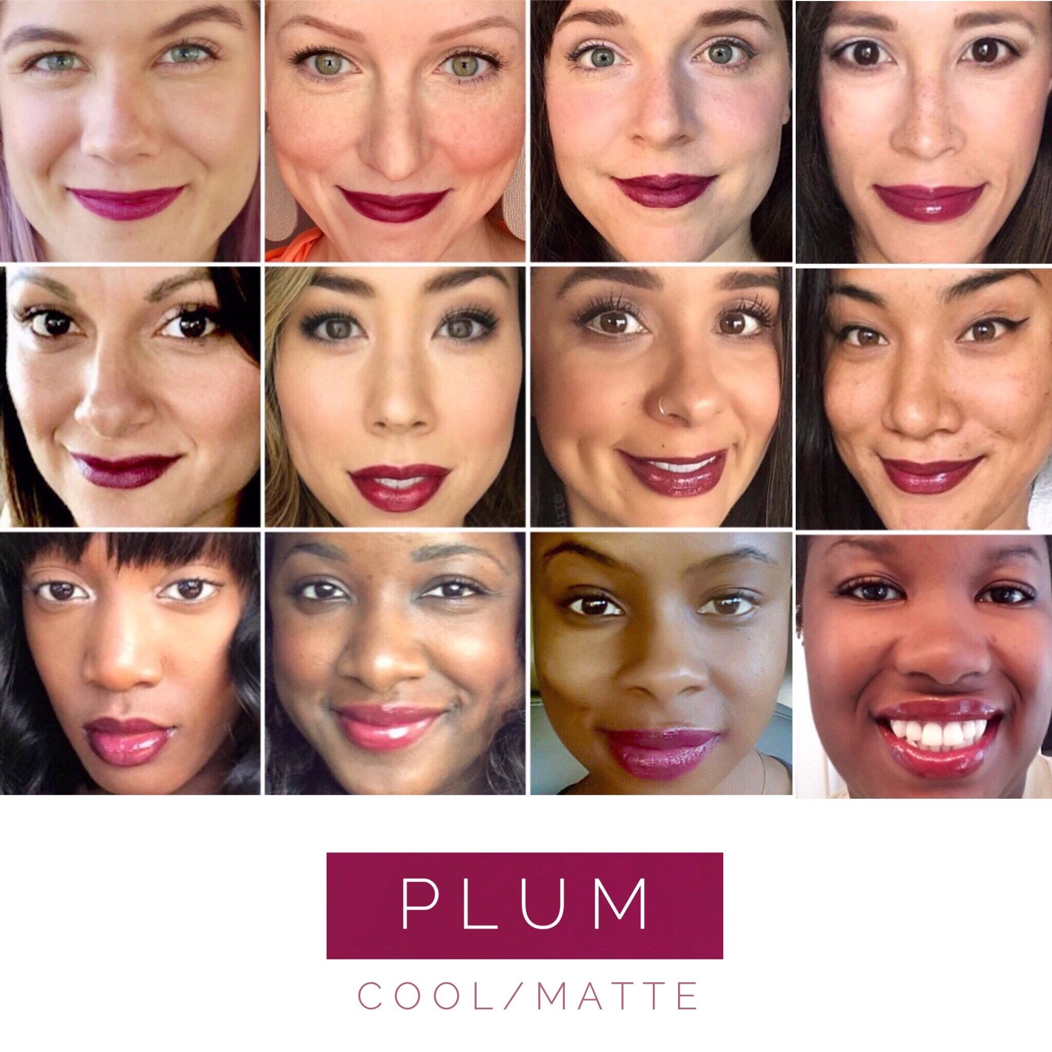 PLUM LONG LASTING LIPSENSE LIPSTICK