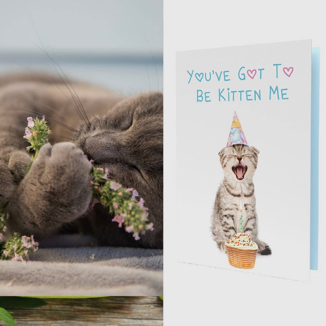 Growable Gretting Cards (All Occasion)