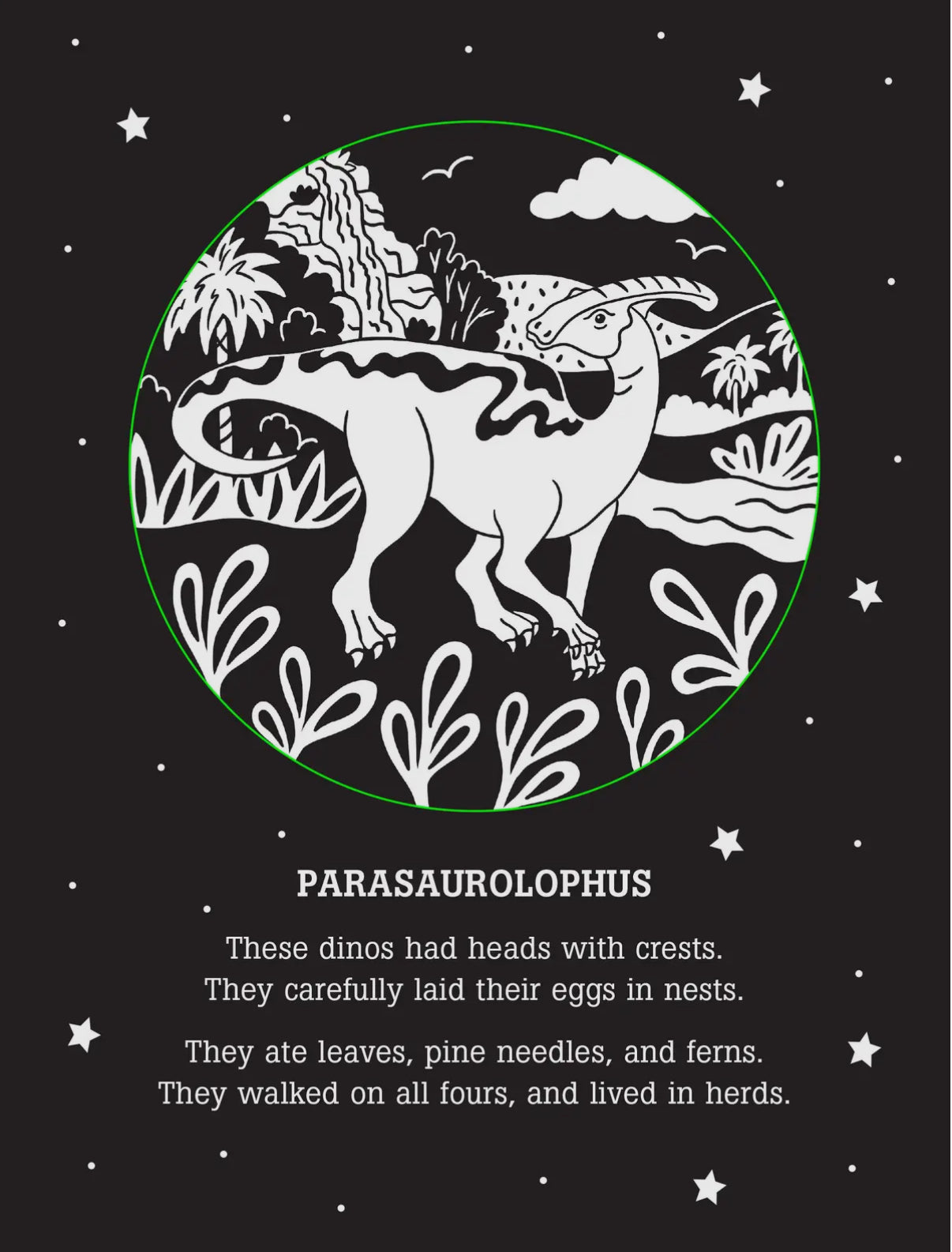 Dinos After Dark Bedtime Shadow Book PPP