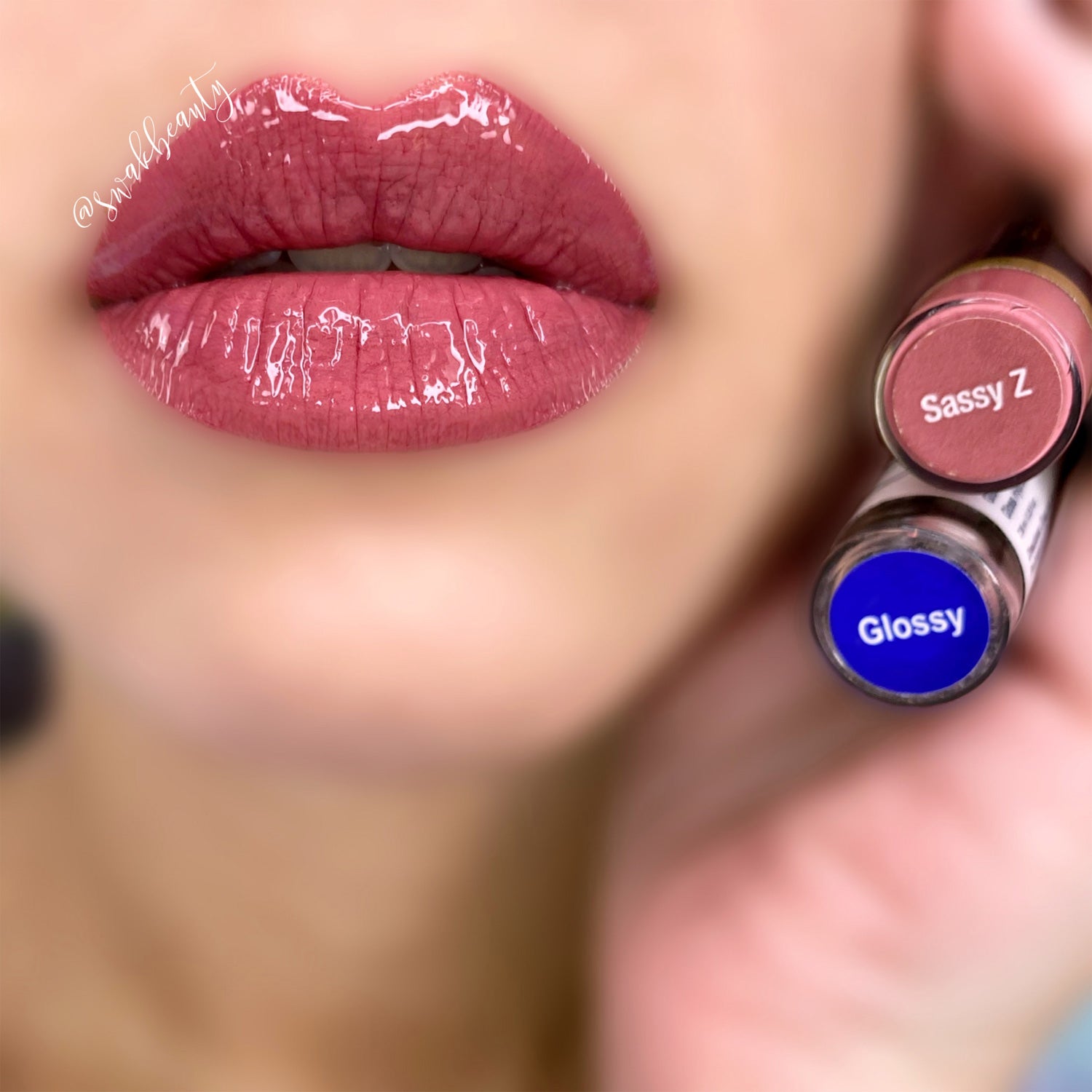 SASSY Z LONG LASTING LIPSENSE LIPSTICK