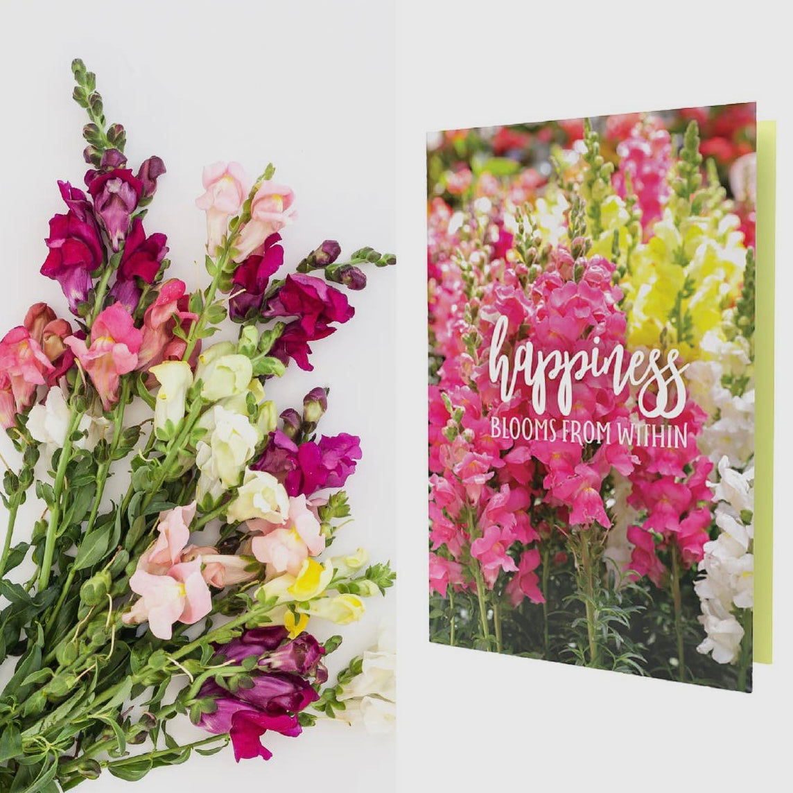 Growable Gretting Cards (All Occasion)