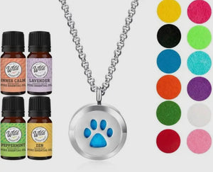 Aromatherapy Necklace Diffuser & Felt Pieces & 4 Essential Oils