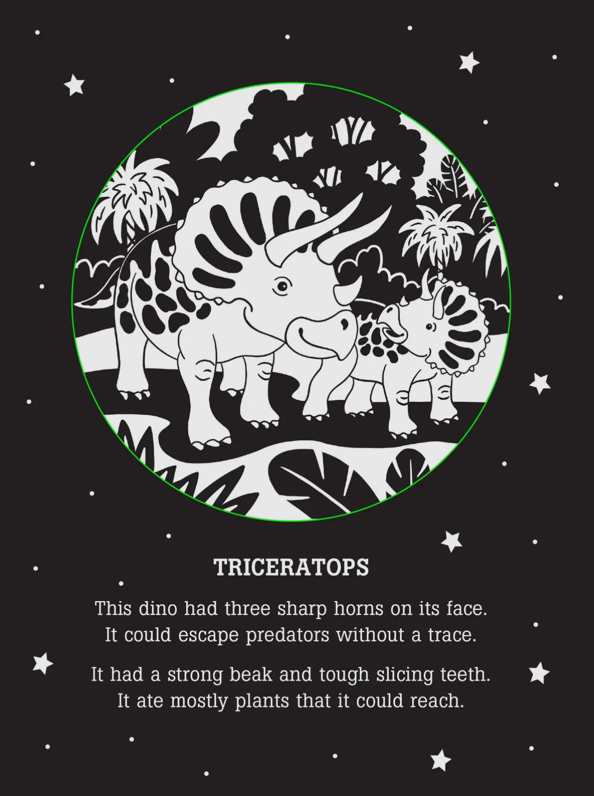 Dinos After Dark Bedtime Shadow Book PPP