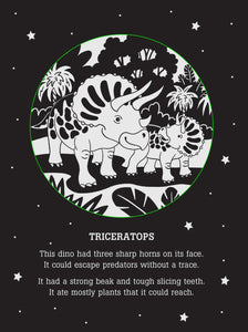 Dinos After Dark Bedtime Shadow Book PPP