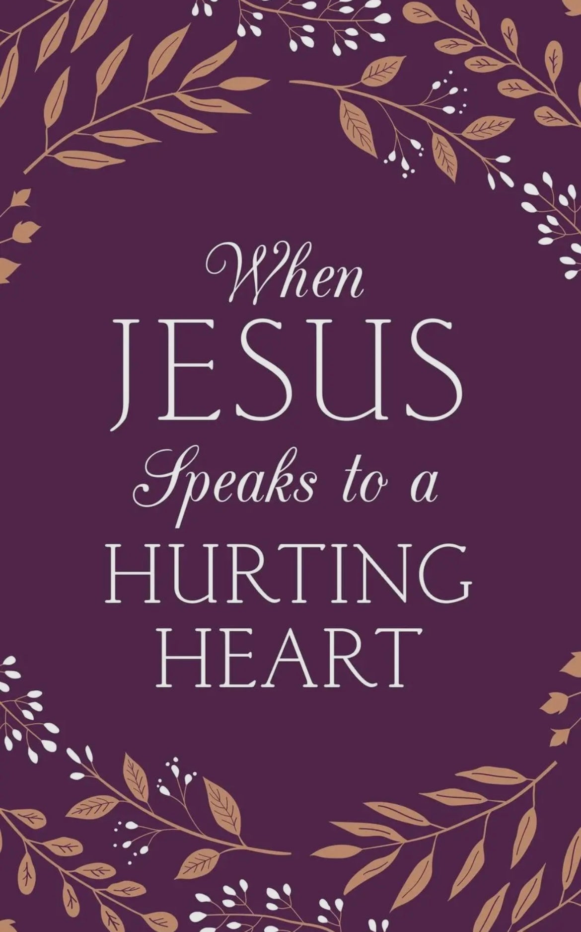 When Jesus Speaks To A Hurting Heart Book