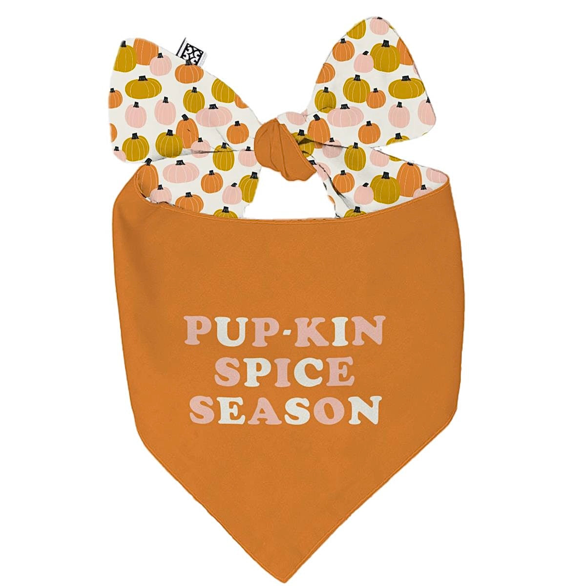PET BANDANA "PUP KIN SPICE" - SALE