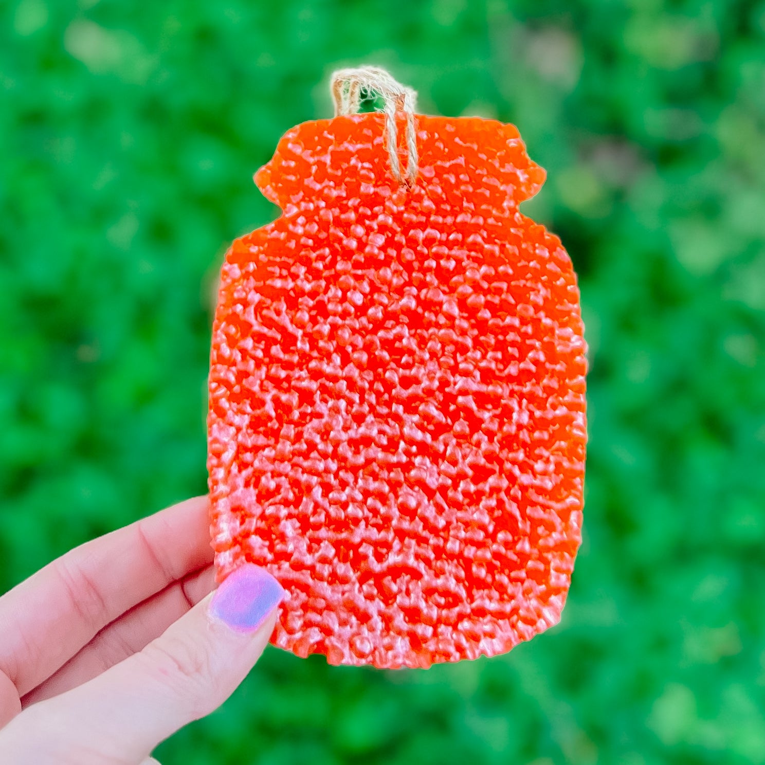 MASON JAR MIDNIGHT POMEGRANATE FRESHIE