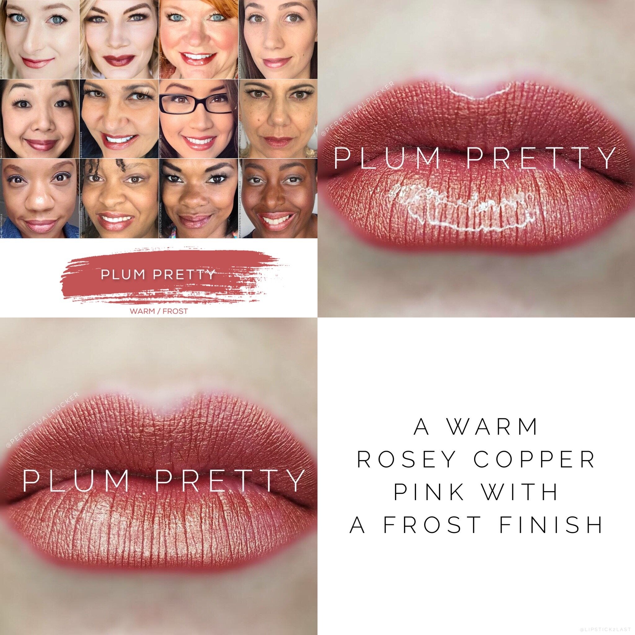 PLUM PRETTY LONG LASTING LIPSENSE LIPSTICK
