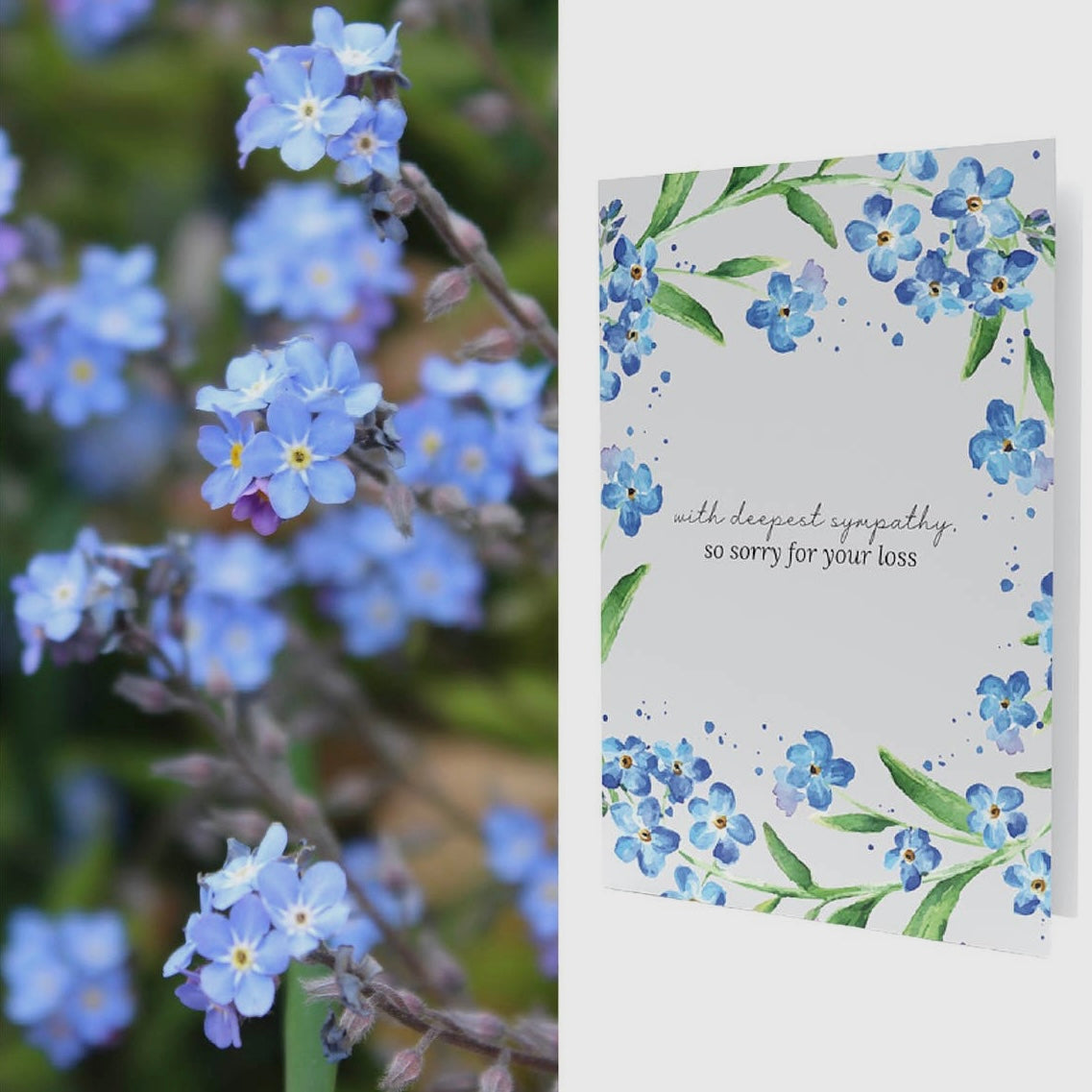 Growable Gretting Cards (All Occasion)