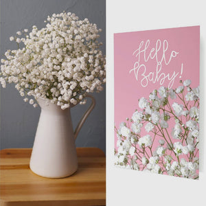 Growable Gretting Cards (All Occasion)