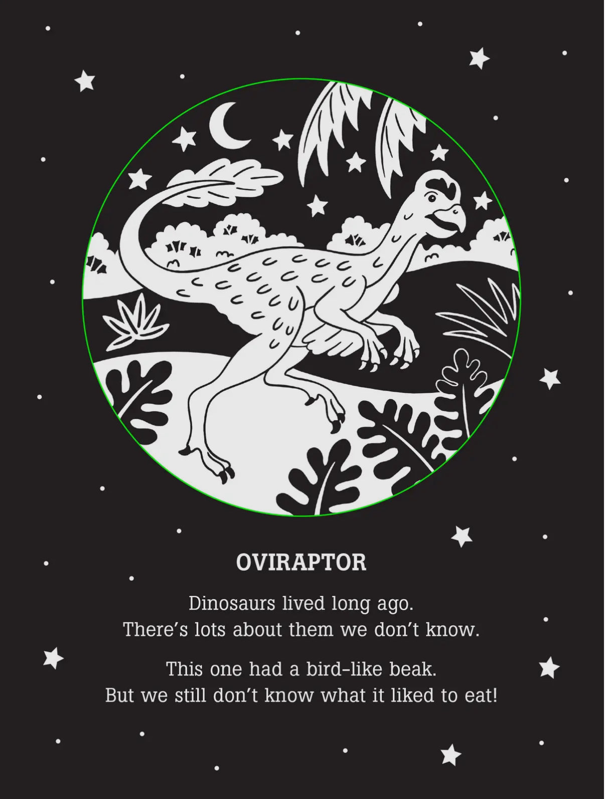 Dinos After Dark Bedtime Shadow Book PPP