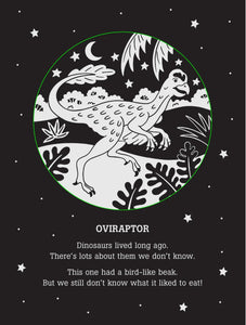 Dinos After Dark Bedtime Shadow Book PPP