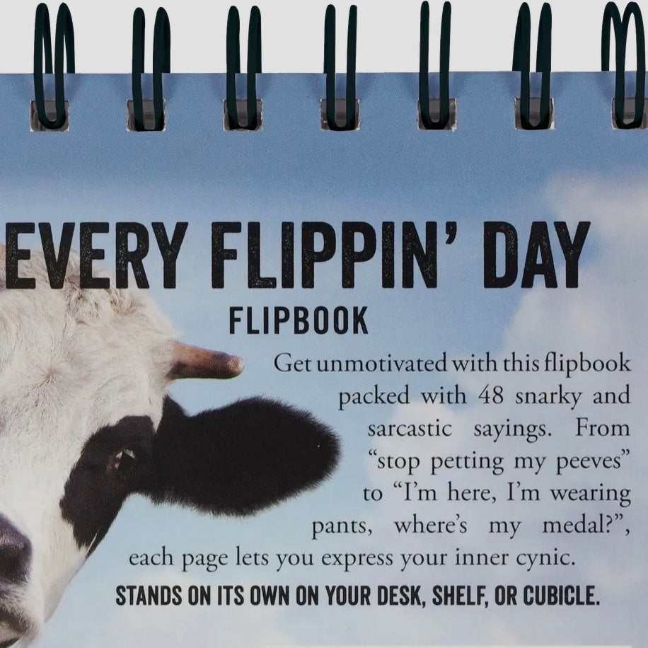 Every Flipping Day Desktop Flipbook PPP