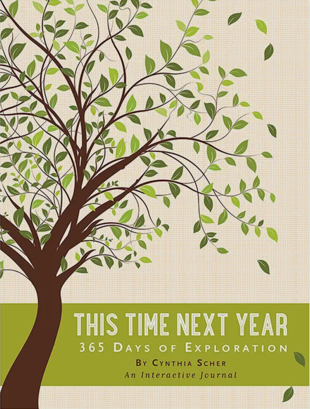 This Time Next Year Book PPP