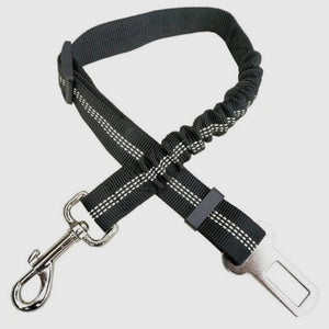 Car Elastic Safety Leash For Seat Belt Buckles