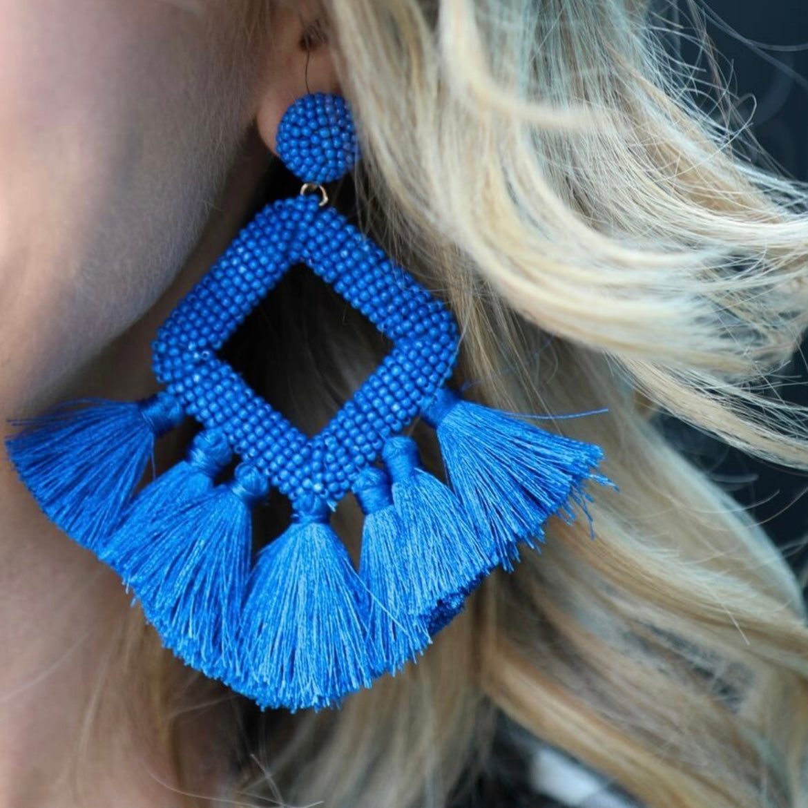 Fringe Tassel Seedbead Bold Earrings