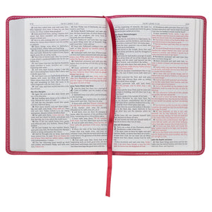 Pink  Faux Leather Compact KJV Bible